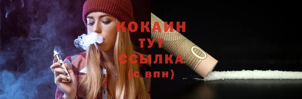 крисы Майский