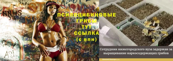 дистиллят марихуана Магас